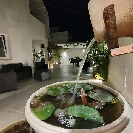 Casa Tizy