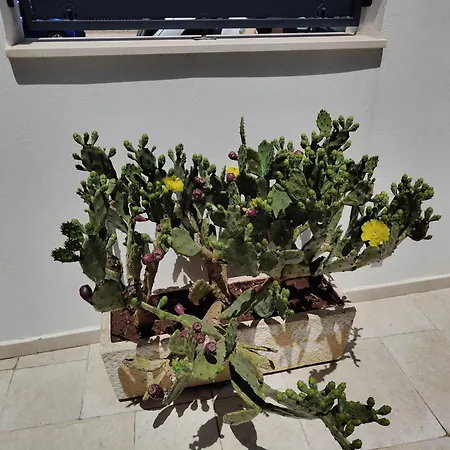Casa Tizy * Botrugno