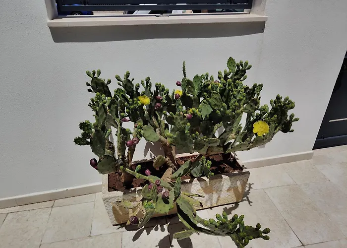 Casa Tizy * Botrugno